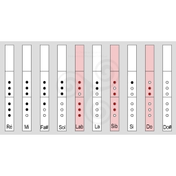 flute-traversire-irlandaise-en-bois-de-rose