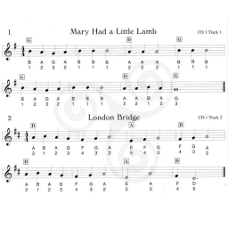 110 Ireland's Best Tin Whistle Tunes for Children