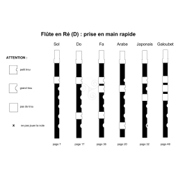 Flute whistle celtique "Multi-flûte" Poulin Ré ou Do