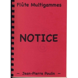 Flute whistle celtique "Multi-flûte" Poulin Ré ou Do