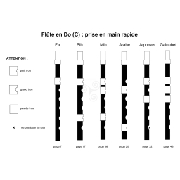 Flute celtique "Fifre" "Multi-flûte" Poulin Ré ou Do
