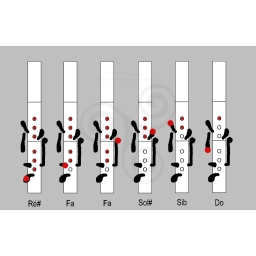 Flute traversière irlandaise Polypenco 6 clés Ré