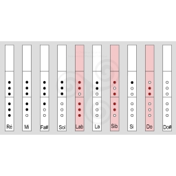 flute-traversire-irlandaise-en-bois-d-bne