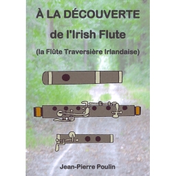 Flute traversière irlandaise Polypenco 6 clés Ré