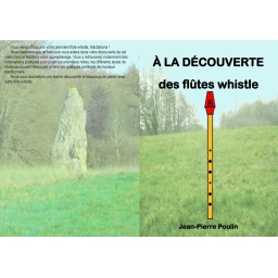 Flute whistle celtique "Multi-flûte" Poulin Ré ou Do