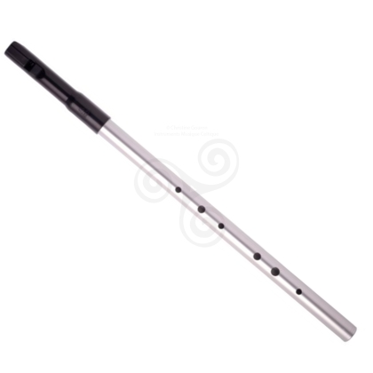 Loïc - Cours de Flûte Irlandaise (Tin Whistle) - Tarare - (69170) -  Spectable