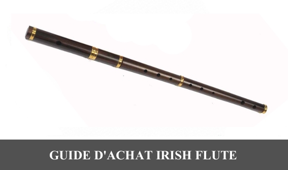 Guide d'achat Flute Traversière