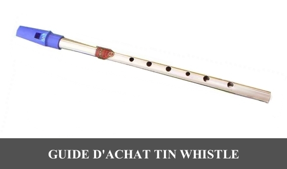 Guide d'achat Tin Whistle